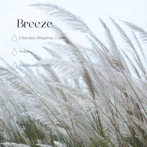 Breeze