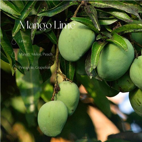 Mango Lime