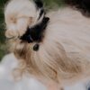 Dondella-siidist-juuksekumm-scrunchie-Swarovski-kristalliga-HSC4-J-M-3.jpeg